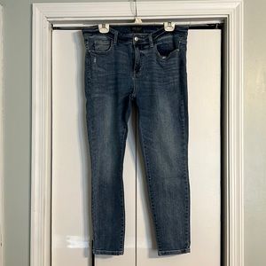 Judy Blue Skinny Fit Jeans